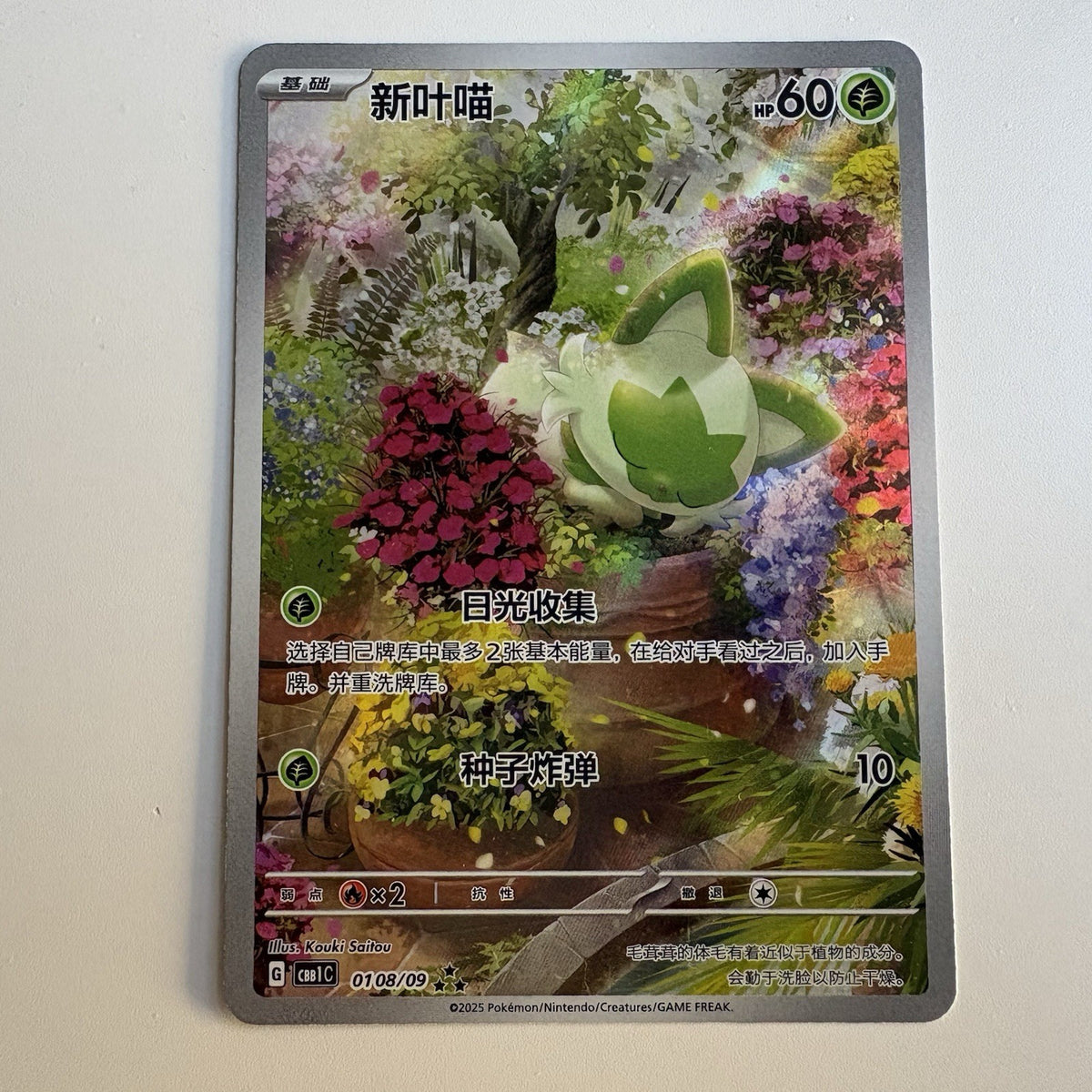 [US SELLER] Pokemon S-Chinese Sprigatito CBB1C 01 08/09 Gem Pack Holo Card