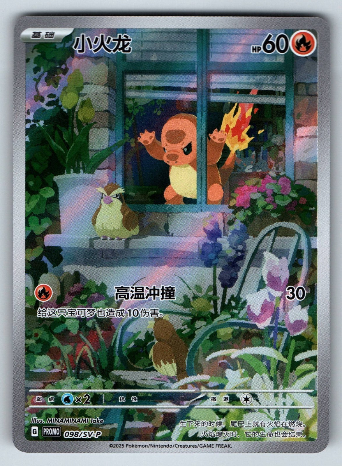 [US SELLER] Pokemon S-Chinese Charmander PROMO 098/SV-P Art Rare Holo