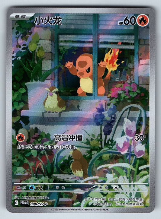 [US SELLER] Pokemon S-Chinese Charmander PROMO 098/SV-P Art Rare Holo