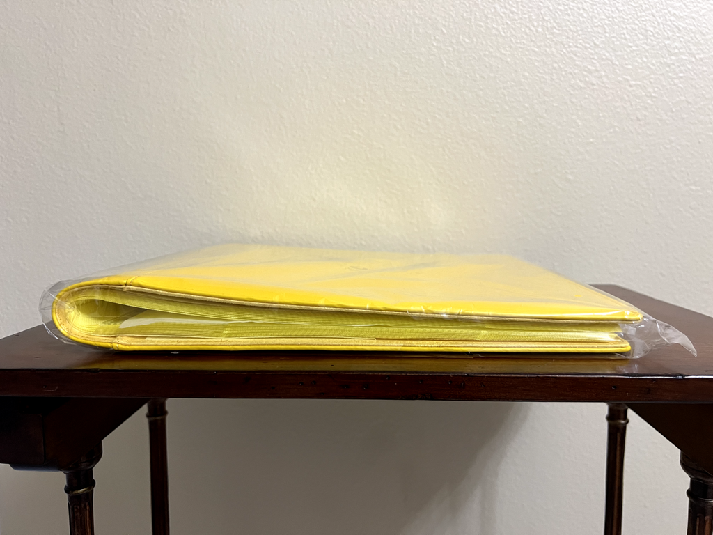 [US SELLER] Pokemon Jolteon 480 Slot Card Binder from Chinese Eevee Gift Box