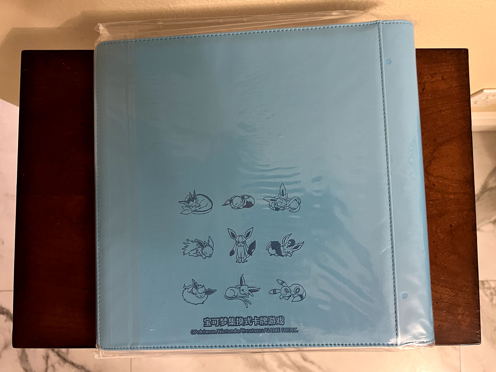 [FAST SHIP] Pokemon Glaceon 480 Slot Binder File Chinese Eevee Gift Box - Sealed