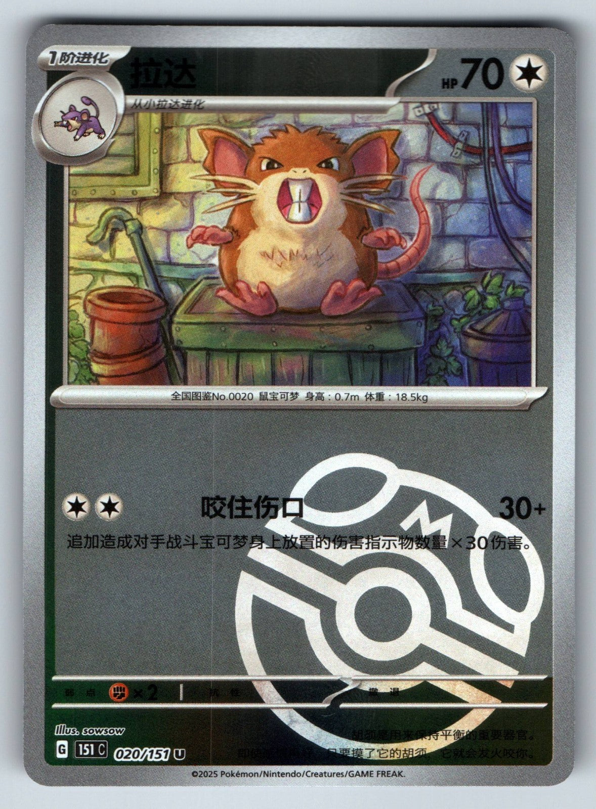 [US SELLER] Pokemon S-Chinese Raticate 020 151C Master Ball Holo Card